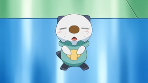 NB109 - Moustillon du Professeur Keteleeria.png