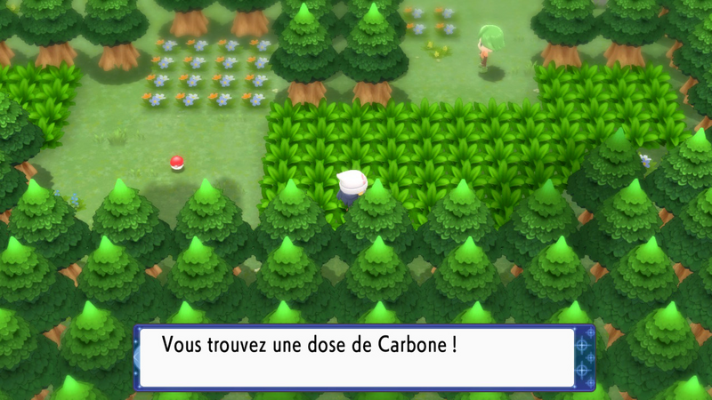 Fichier:Route 221 Carbone DEPS.png