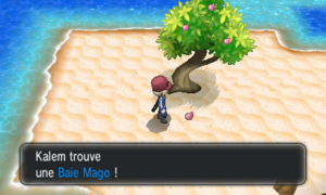 Route 8 Baie Mago XY.png