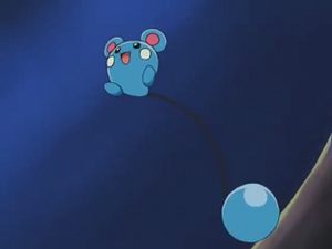 AG035 - Azurill d'un Dresseur.png