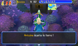 Un Majaspic écarte le lierre de la porte Noire au É.11.