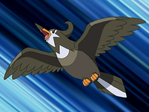 DP058 - Étourvol de Sacha.png