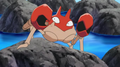 Krabby (sauvage)