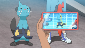 LV081 - Mateloutre Pokédex.png