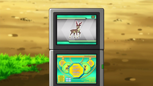 NB019 - Haydaim Pokédex.png
