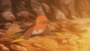 XY086 - Braisillon de Sacha.png