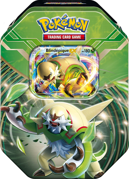 Fichier:Boîte Puissance de Kalos Blindépique-EX.png