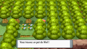 Bonville Miel DEPS.png