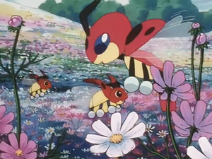 EP180 - Coxy et Coxyclaque.png