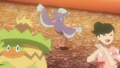 Ludicolo et Plumeline (de Dresseurs)
