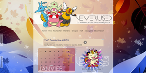 NeverUsed - Janvier 2013.png