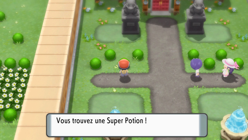 Fichier:Route 212 Super Potion DEPS.png