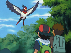 AG113 - Hélédelle de Sacha.png