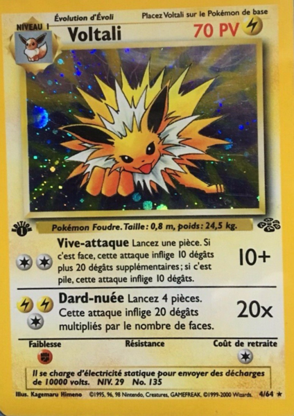 Fichier:Carte Jungle 4.png