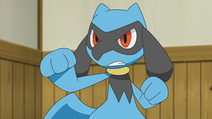 LV034 - Riolu de Sacha.png