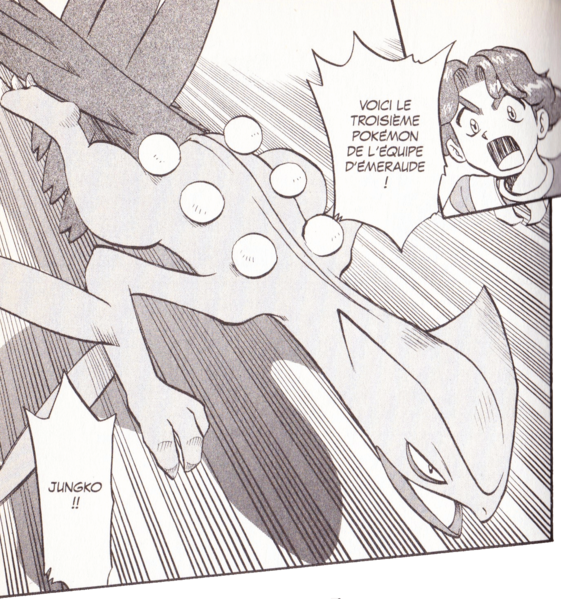 Fichier:PMS307.png