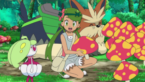 Petit et Gros Champi - dessin animé.png