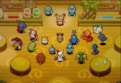 Spinda annonce la découverte du Pic Céleste.
