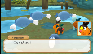 Rivière Tartard 4.png