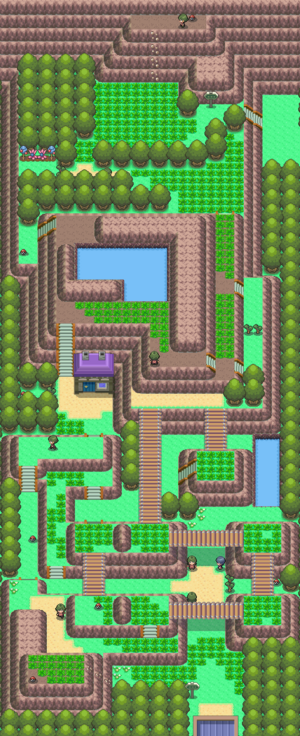 Route 225 DP.png