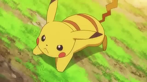 XY052 - Pikachu de Sacha.png