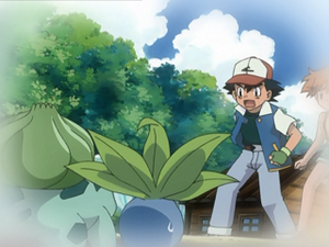 AG189 - Mystherbe (Flash-back).png