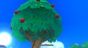 Arbre a baies Poképark 2.JPG