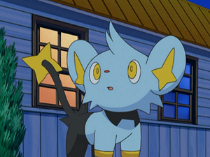 DP098 - Lixy d'Angie.png
