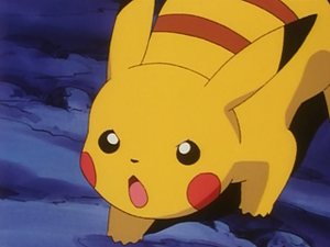 EP142 - Pikachu de Sacha.png