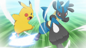 LV109 - Pikachu et Lucario de Sacha (Flash-back).png