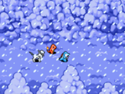 Le trio s'enfonce dans la forêt vers le nord.