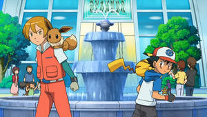 NB105 - Stari d'un Dresseur.png