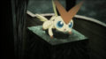 Victini (ami du roi)