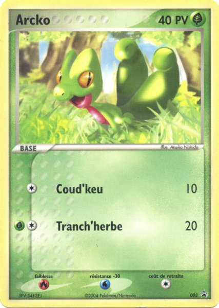 Fichier:Carte Promo Nintendo 003.png