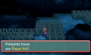 Chenal 129 Plaque Volt ROSA.png