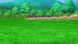 LV114 - Tauros de Sacha.png