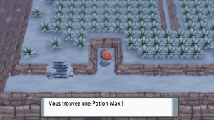 Mont Couronné Potion Max 3 DEPS.png