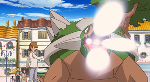 Torterra Canon Graine.png