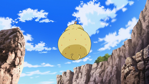 XY097 - Baie Sitrus.png