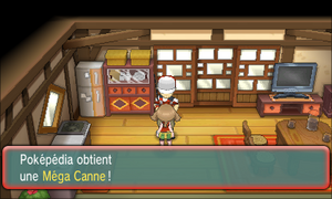 Algatia Méga Canne ROSA.png