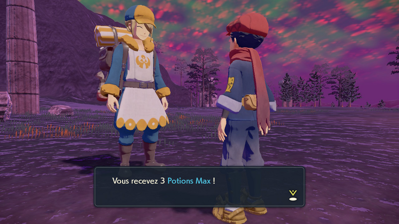 Fichier:Bivouac des Cimes Potion Max LPA.png