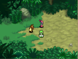 Jungle Méridionale (2) PDMC.png