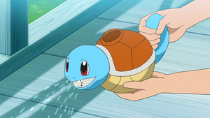 LV137 - Carapuce à O.png