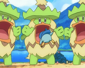 Ludicolo Rugissement.png