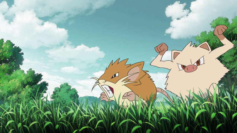 Fichier:PO02 - Flash-back - Rattatac et Férosinge sauvages.png