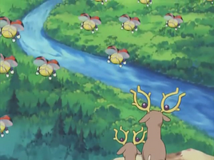 Pokémon Chronicles 12 - Coxy et Cerfrousse.png