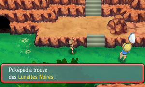 Route 116 Lunettes Noires ROSA.png