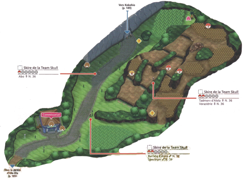 Fichier:Route 17 USUL.png