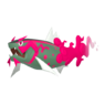 Basculegion Male