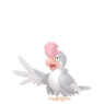 SquawkabillyWhite Plumage
